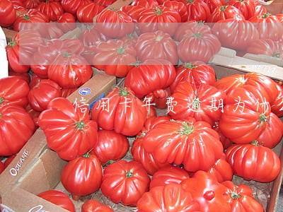 信用卡年费逾期为什么 信用卡年费逾期为什么