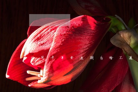 信用卡年费逾期为啥不通知 信用卡年费逾期为啥不通知