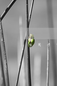 信用卡年费逾期了会不会上征信 信用卡年费逾期了会不会上征信