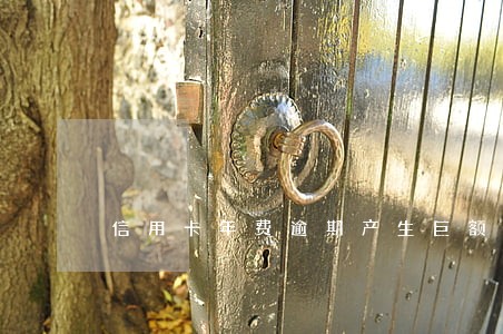 信用卡年费逾期产生巨额费用 信用卡年费逾期产生巨额费用