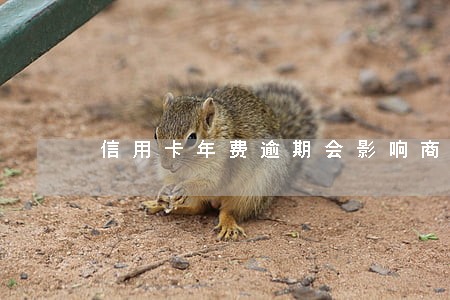 信用卡年费逾期会影响商贷吗 信用卡年费逾期会影响商贷吗