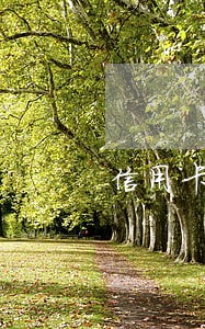 信用卡年费逾期会影响政审 信用卡年费逾期会影响政审