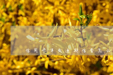 信用卡年费逾期信誉怎么回来 信用卡年费逾期信誉怎么回来