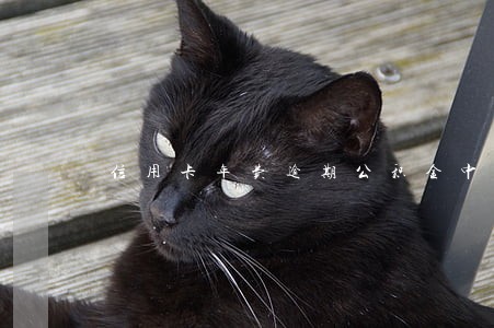 信用卡年费逾期公积金中心可以吗