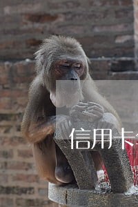 信用卡年费逾期几个月 信用卡年费逾期几个月
