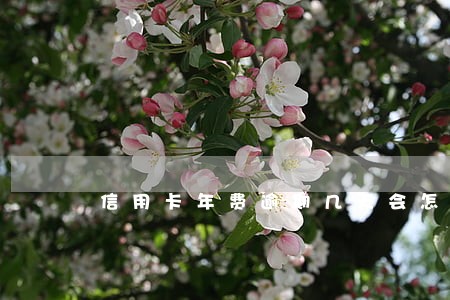 信用卡年费逾期几天会怎么样 信用卡年费逾期几天会怎么样