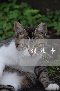 信用卡年费逾期半个月征信吗 信用卡年费逾期半个月征信吗