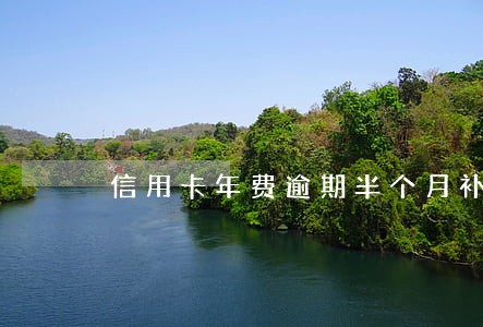 信用卡年费逾期半个月补救
