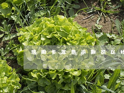 信用卡年费逾期可以找中介吗 信用卡年费逾期可以找中介吗