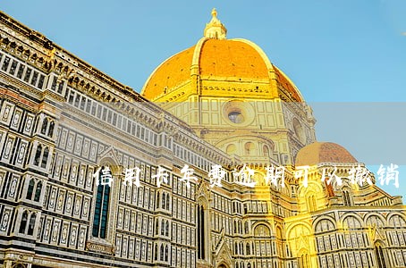 信用卡年费逾期可以撤销吗 信用卡年费逾期可以撤销吗