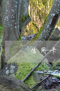 信用卡年费逾期可以更正吗 信用卡年费逾期可以更正吗
