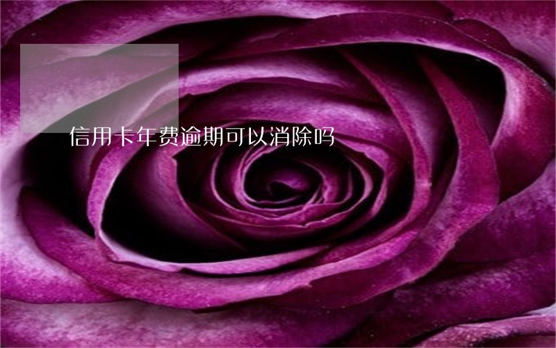 信用卡年费逾期可以消除吗 信用卡年费逾期可以消除吗