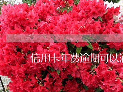 信用卡年费逾期可以消除征信