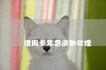 信用卡年费逾期处理 信用卡年费逾期处理