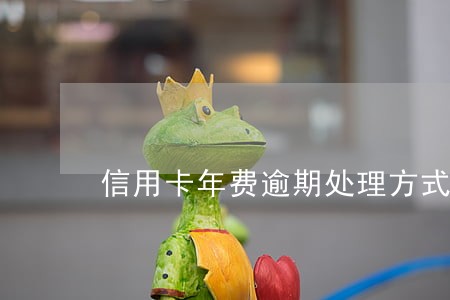 信用卡年费逾期处理方式中国 信用卡年费逾期处理方式中国