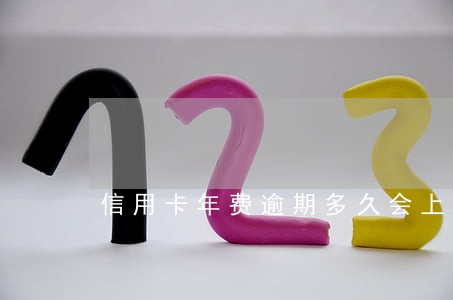 信用卡年费逾期多久会上报征信