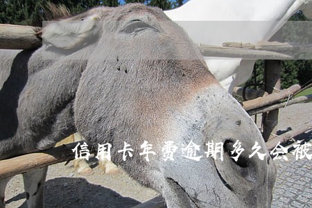 信用卡年费逾期多久会被征信