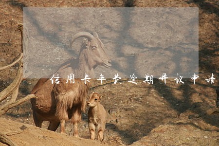 信用卡年费逾期异议申请网点 信用卡年费逾期异议申请网点