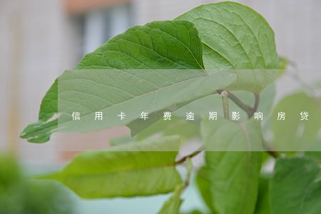 信用卡年费逾期影响房贷么
