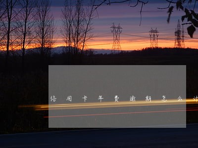 信用卡年费逾期怎么计算 信用卡年费逾期怎么计算