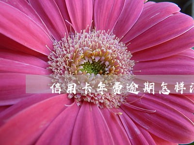 信用卡年费逾期怎样消除 信用卡年费逾期怎样消除