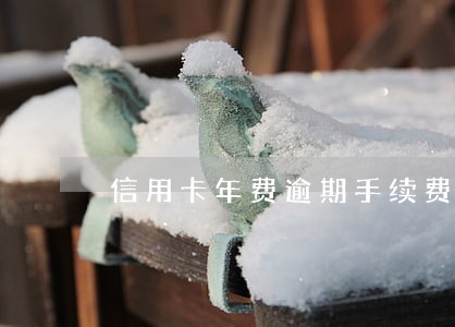 信用卡年费逾期手续费怎么收