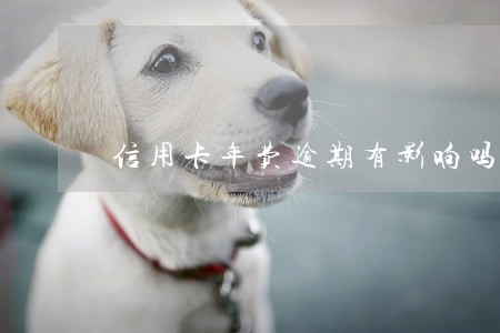 信用卡年费逾期有影响吗