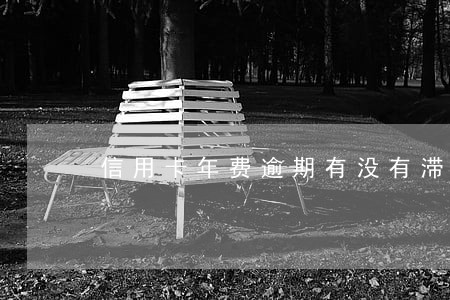 信用卡年费逾期有没有滞纳金