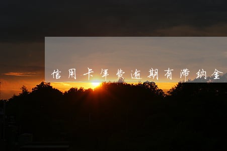 信用卡年费逾期有滞纳金没 信用卡年费逾期有滞纳金没