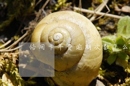 信用卡年费逾期次数怎么算 信用卡年费逾期次数怎么算