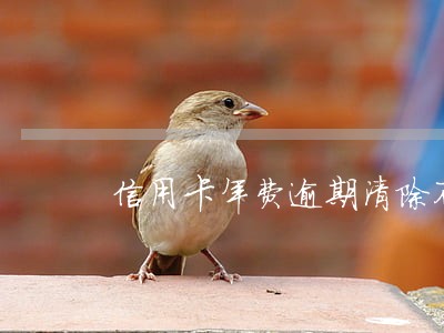 信用卡年费逾期清除不良记录