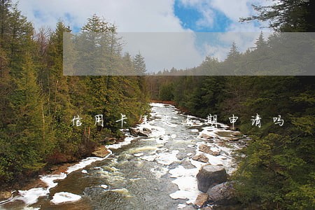 信用卡年费逾期申请吗 信用卡年费逾期申请吗