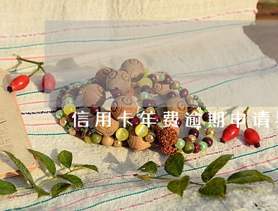 信用卡年费逾期申请异议