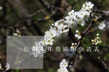 信用卡年费逾期申请表