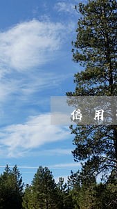 信用卡年费逾期的会通知么 信用卡年费逾期的会通知么