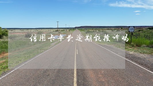 信用卡年费逾期能投诉吗 信用卡年费逾期能投诉吗