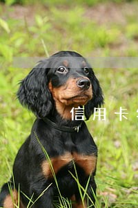 信用卡年费逾期能改征信吗6 信用卡年费逾期能改征信吗6