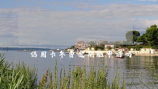 信用卡年费逾期能申诉吗 信用卡年费逾期能申诉吗