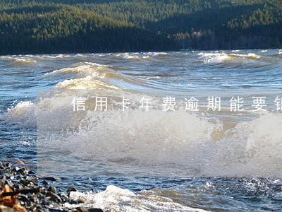 信用卡年费逾期能要银行卡吗 信用卡年费逾期能要银行卡吗