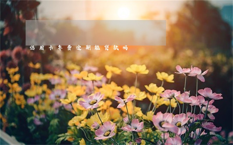 信用卡年费逾期能贷款吗 信用卡年费逾期能贷款吗