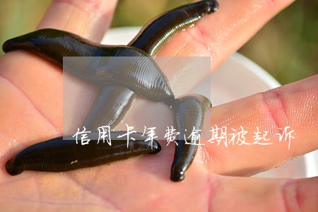 信用卡年费逾期被起诉 信用卡年费逾期被起诉