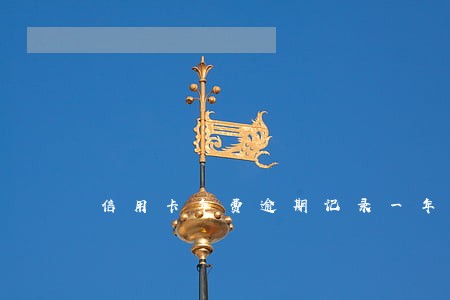 信用卡年费逾期记录一年 信用卡年费逾期记录一年
