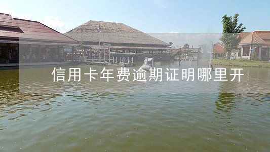 信用卡年费逾期证明哪里开 信用卡年费逾期证明哪里开