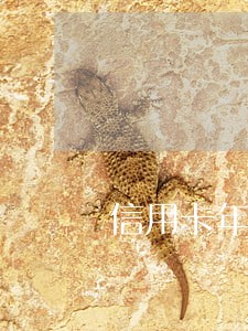 信用卡年费逾期证明怎么打 信用卡年费逾期证明怎么打