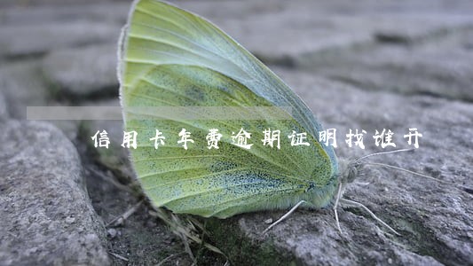 信用卡年费逾期证明找谁开 信用卡年费逾期证明找谁开