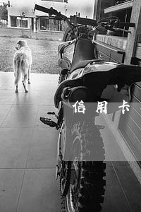 信用卡年费逾期该怎么处理 信用卡年费逾期该怎么处理