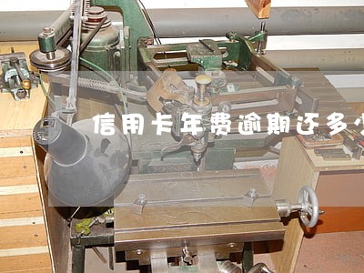 信用卡年费逾期还多少 信用卡年费逾期还多少