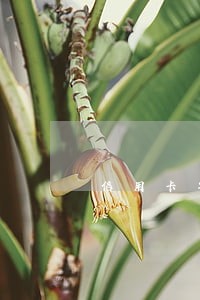 信用卡年费逾期违约金