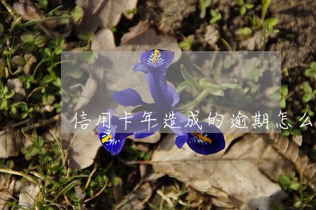 信用卡年造成的逾期怎么办