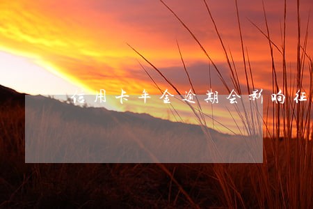 信用卡年金逾期会影响征信吗 信用卡年金逾期会影响征信吗